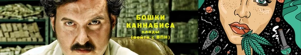 дмт Ладушкин
