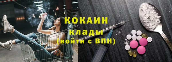 дмт Ладушкин