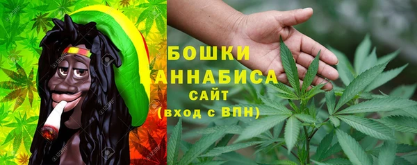 дмт Ладушкин