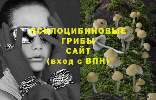 спиды Лиски