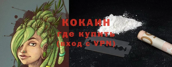 бошки Лагань